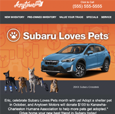 Subaru – Loves Pets_Thumbnail