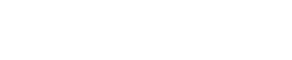 DealerFunnel-Logo@2x